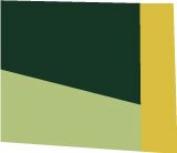 color graphic