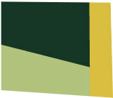 color graphic